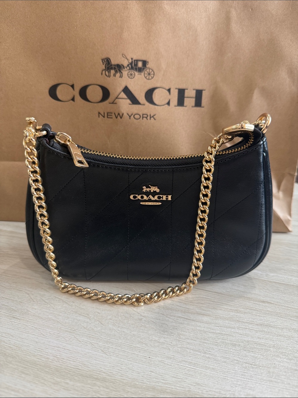 COACH Teri Mini Crossbody Bag